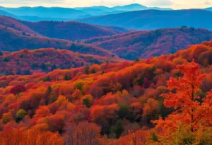 Vibrant autumn foliage in Virginia's rolling hills
